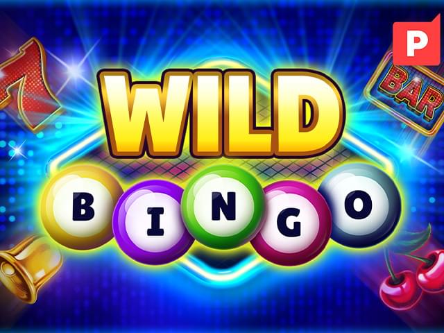 99777 bet Bingo Selvagem